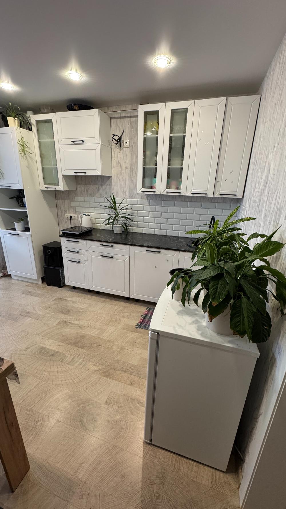 1 ���������, ��. ������������, 133�